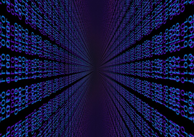 binary code, data scientist