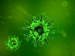 Science, coronavirus, virus