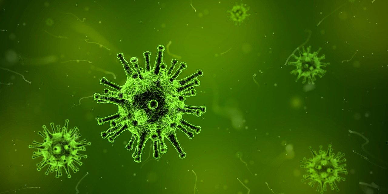Science, coronavirus, virus