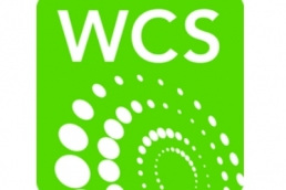 Women in Cleantech and Sustainability logo featured