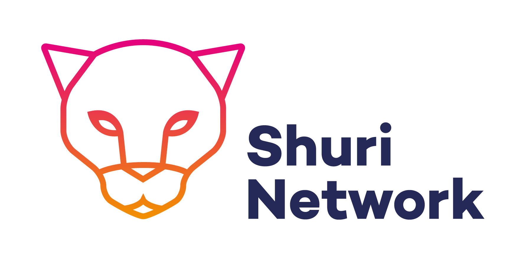 The Shuri Network logo