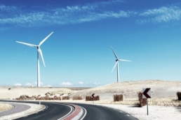 windmills on a curved road, Autonomous Enterprise