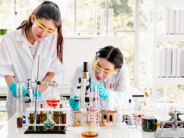 Young asian female chemists with senior caucasian chemist working together in lab, looking into microscope, Women in STEM