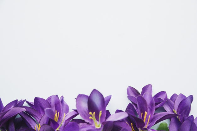 bottom-purple-flowers-isolated-white-background_23-2147925558