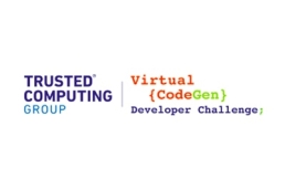 TCG Virtual CodeGen Developer challenge featured