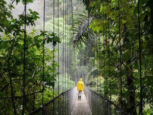 A woman walking in a rainforest wearing a yellow mac